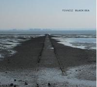 Black Sea by Fennesz (2008-11-25)