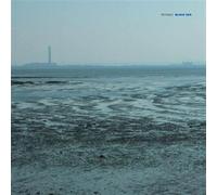 fennesz - fennesz-black sea 2022 re issue 2x12'