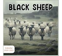 Black Sheep Calendar 2025: 2 Year Planner January 2025 - December 2026 | Sheep Cover Design