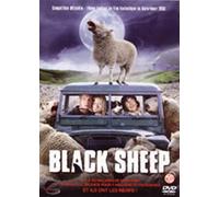 Black Sheep [Import belge]
