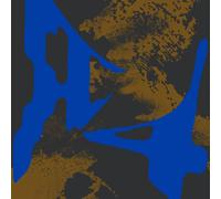 Black Sites R4 (Vinyl LP) 12" Album