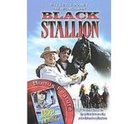 Black Stallion & Boy Who Talked to Whales