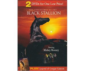 Black Stallion & Legend of Cougar Canyon