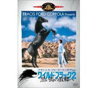 Black Stallion Returns