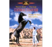 Black Stallion Returns