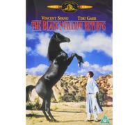 Black Stallion Returns The