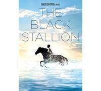 Black Stallion, The (DVD) Kelly Reno Mickey Rooney Teri Garr Clarence Muse