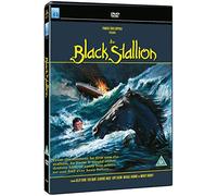 Black Stallion. The [Edizione: Regno Unito]