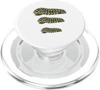 Black Swallowtail Caterpillar Studio Papilio Polyxenes Larva PopSockets PopGrip per MagSafe