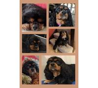 Black & Tan with Love: Cavalier King Charles Spaniel Notebook: A Cute & Practical Journal for Dog Lovers