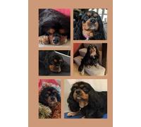 Black & Tan with Love: Cavalier King Charles Spaniel Notebook: A Cute & Practical Journal for Dog Lovers