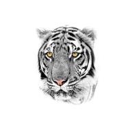Black Tiger Forearm Temporary Tattoos For Men Adult Women Lion Fake Tattoo Waterproof Half Sleeve Tattoo(003)