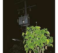 BLACK TRUFFL giuseppe ielasi-down on darkened meeting