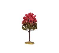 Black Tupelo Tree, Medium Cod. 44798