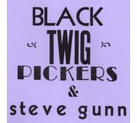 BLACK TWIG PICKERS/STEVE - 7-LONESOME VALLEY -LTD-
