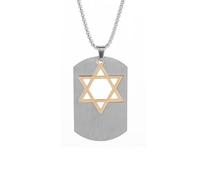 BlackAmazement Collana in acciaio inox 316L con ciondolo a forma di stella di David Star of David, argento nero e oro da donna, Acciaio inossidabile