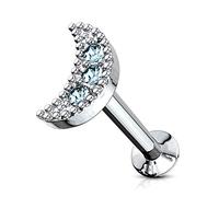 BlackAmazement Orecchini a labret monroe trago Helix in acciaio inox 316L, a mezza luna, a forma di cervo, con zirconi CZ rosa, argento, rosa, arcobaleno, da donna e Acciaio inossidabile, cod. -