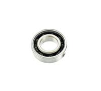Blackbearing BB-UB-6001-CS - Cuscinetto Unisex da Adulto, Colore: Argento