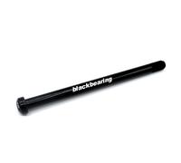 BLACKBEARING Perno passante diam 12 lunghezza 175 passo M12x1 - BB-AX-R12.10