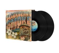 Blackberry Smoke You Hear Georgia (Vinyl LP) 12" Album