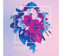 Blackbird Blackbird - The Boracay Plant Ep