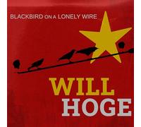 blackbird on a lonely wire