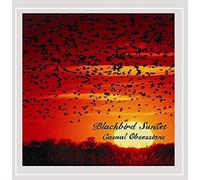 Blackbird Sunset - Casual Obsessions
