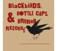 Blackbirds, Bottle Caps & Broken Records: Environmental Artist Bryant Holsenbeck at Work
