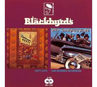 Blackbirds - City Life-Unfinished Business