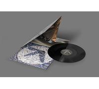 Blackbox Life Recorder 21f / In A Room7 F760