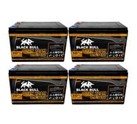 BlackBull confezione-batteria 48V 18AH ' RANGE ' PER FORCA SCOOTER