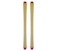 Blackcrows - Pelli pretagliate - Pilus Camox Freebird Skins in Nylon - Taglia 171 cm - Giallo