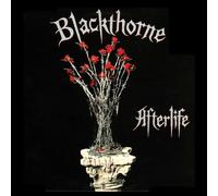 Blackthorne - Afterlife