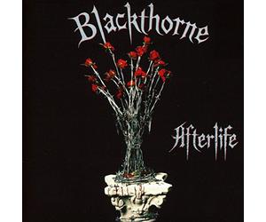 Blackthorne - Afterlife: Expanded Edition