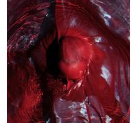 Blackwater Holylight - Not Here Not Gone