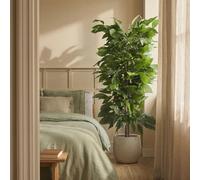 BLAINE Piante Finte da Interno Albero di Mango 150 cm Aspetto Iperrealistico per Decorazione Casa e Ufficio Senza Manutenzione