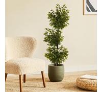 BLAINE Piante Finte da Interno Ficus 180 cm Aspetto Iperrealistico per Decorazione Casa e Ufficio Senza Manutenzione