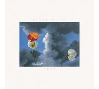 Blake Mills Look (Vinyl LP) 12" Album