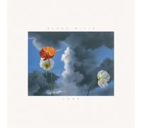 Blake Mills Look (Vinyl LP) 12" Album