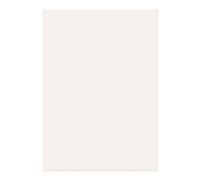 Blake Premium Business 210 x 297 mm 120 g/m2 Carta(39677) Bianco intenso laid, Confezione da 500