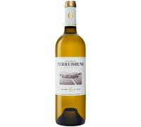 Blanc 2025 - Domaine de Terrebrune Bandol