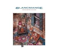 Blancmange - The Day Before You Came