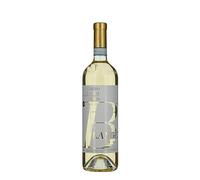 Arneis Langhe DOC Blangé 2023 - Ceretto 0.75 lt