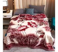 BlanketSwinter Blanketwinter Boppet Letto matrimoniale th morbido soffice coperta, peluche coperta di pile, coperta calda spessa per il letto invernale/letto matrimoniale, divano, 4.180 * 220 cm