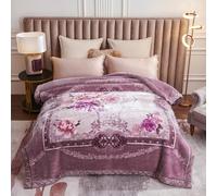 BlanketSwinter Blanketwinter Boppet Letto matrimoniale TH pesante coreano Fucice in vello in pile, 2 Ply Reversible Inverno Boppata Silky Silky Plush Calza calda per l'autunno Inverno, 180 * 220