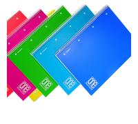 BLASETTI - 2935 - Maxiquaderno One Color - A4+ - forato - quadretto 5 mm - 80 fogli - 80 gr - spiralato - copertina PPL - Blasetti - 71892 - Conf. da 6 Pz. - 2935