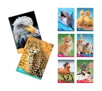 Blasetti - 6 Maxi quaderni DIDATTICI FANTASIA One Color. Carta da 100gr, 72 facciate + risguardo, Jolly Page, ideali per disgrafia, pacco contenente colori assortititi - Righe (0B)