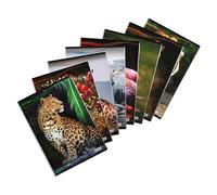 Blasetti - Animal - Maxi Quaderno formato A4 (21Cm X 29,7Cm) -Rigatura 0Q, quadretti con margine da 5 mm - Carta 80gr - Confezione da 10 pezzi