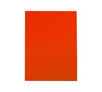 CF25CARTELLINE CARTEX 3L ROSSO