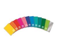 BLASETTI - Cf10quad One Color 80g 20ff A5 7